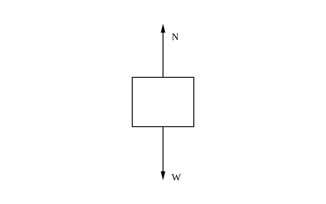 Free body diagram of a block: an arrow labelled N pointing up from the top face and an arrow labelled W pointing down from the bottom face, with the table removed.