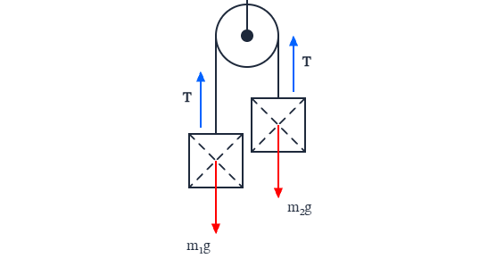 Free body diagram of atwood machine: A free body diagram template for Atwood Machine.