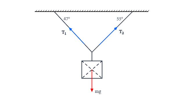 Free body diagram of traffic light cables: A free body diagram template for Traffic Light Cables.